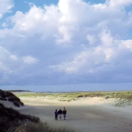 Studio's Roggesloot De Cocksdorp (Texel)