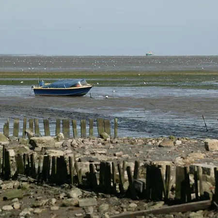 Studio's Roggesloot De Cocksdorp (Texel)